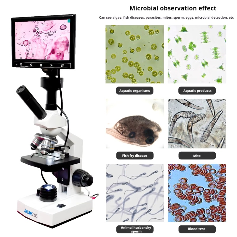 WEIAI 7-Zoll-Digitalmikroskope – Digital Microscope Bewertung und Preis